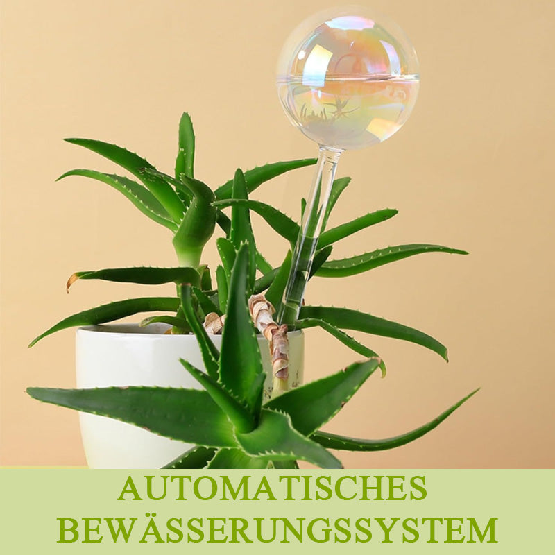 Fargerik soppvanningskanne/fargerikt automatisk vanningssystem laget av glass