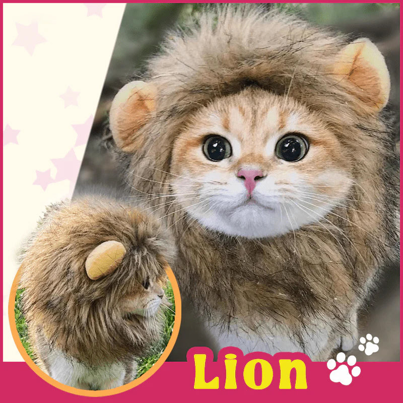 Søt katt kostyme lue