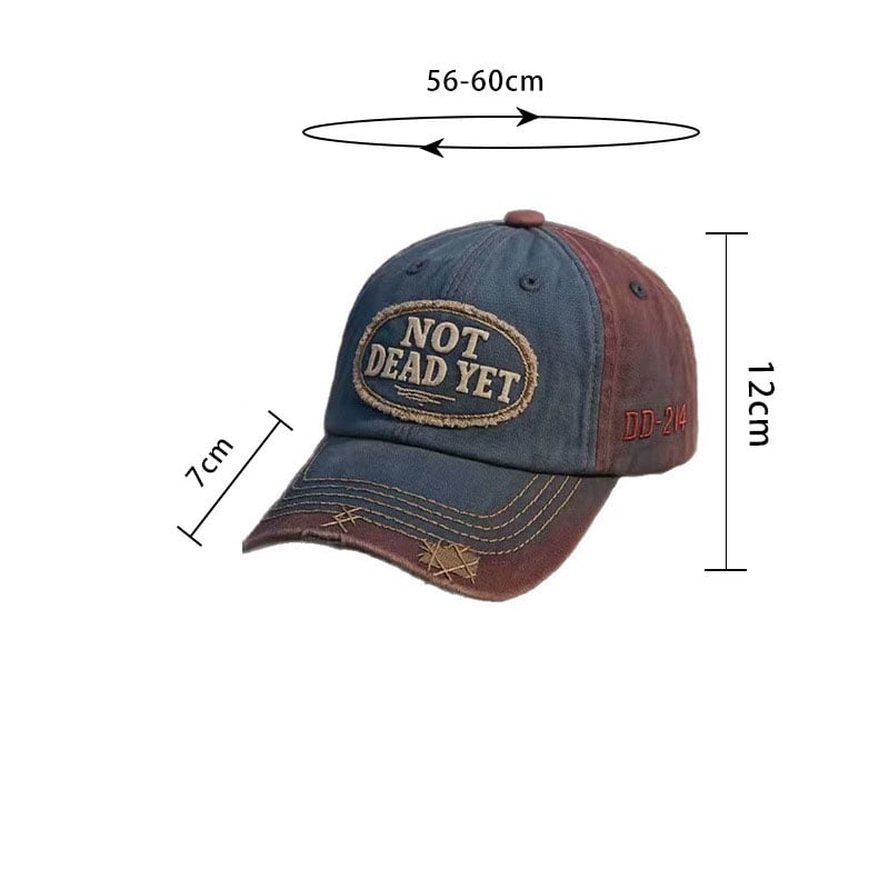 IKKE DĂD ENNĂ
- Vintage vasket baseballcaps