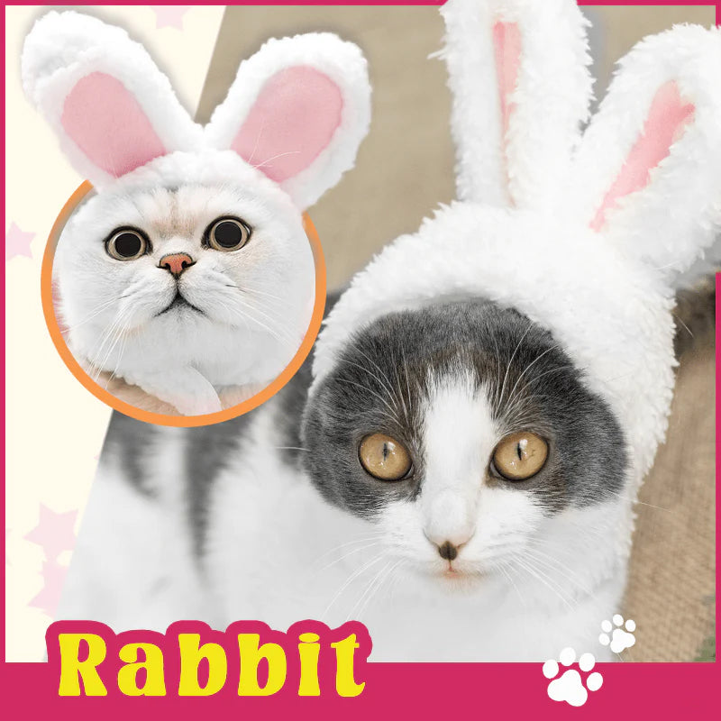 Søt katt kostyme lue