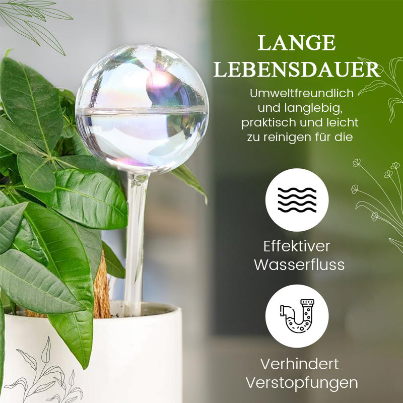 Fargerik soppvanningskanne/fargerikt automatisk vanningssystem laget av glass