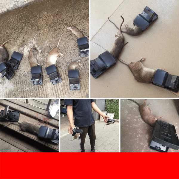 Kraftig musefelle med høy følsomhet