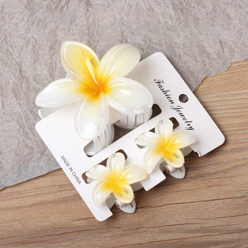 🌸 Elegant blomsterhårspenne - Morandi Bloom Series