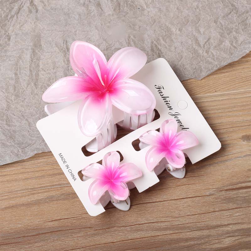 🌸 Elegant blomsterhårspenne - Morandi Bloom Series