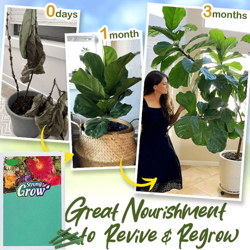 Lazy plantematgjødselpinner