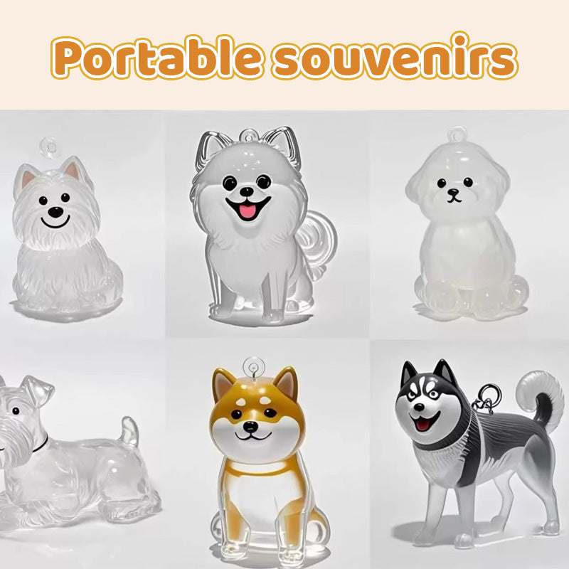 Gjennomsiktig oppbevaringsboks til minne om valpehår