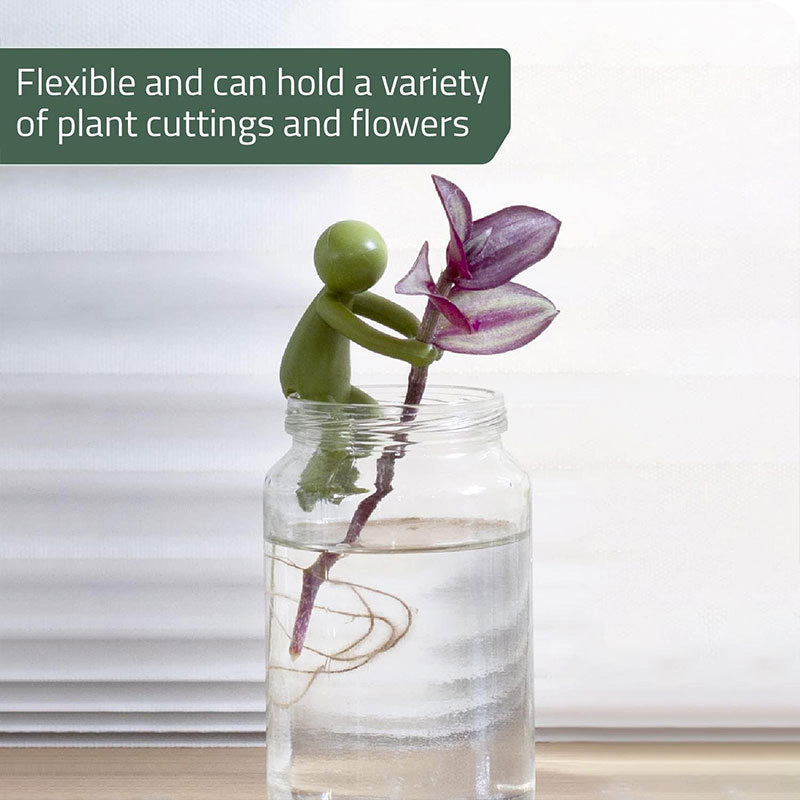 Søt plantestøtte espalier