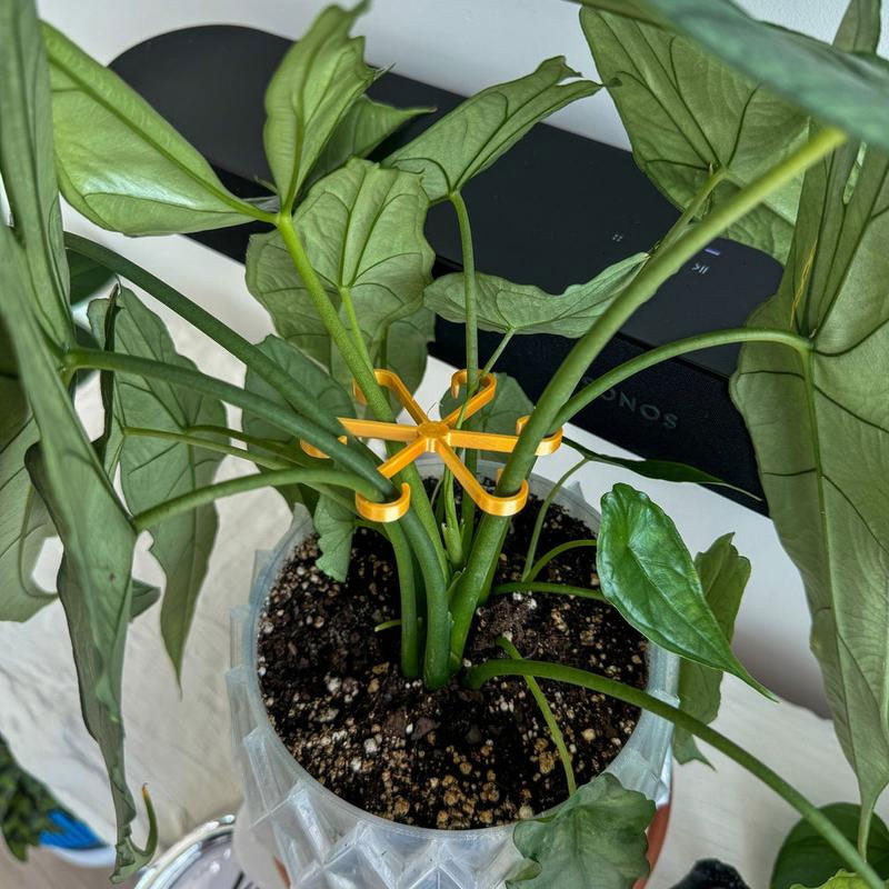 Plantestamme støtte (4 stk)