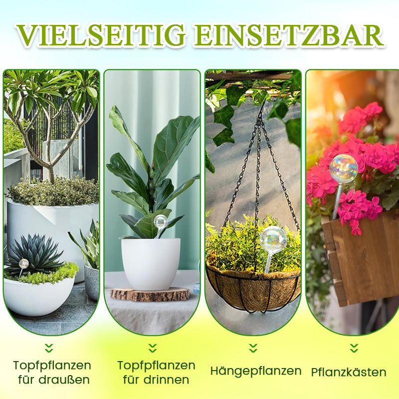 Fargerik soppvanningskanne/fargerikt automatisk vanningssystem laget av glass