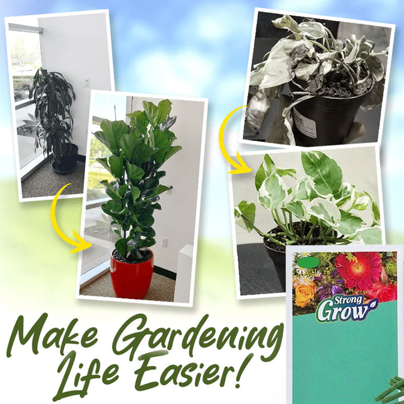 Lazy plantematgjødselpinner