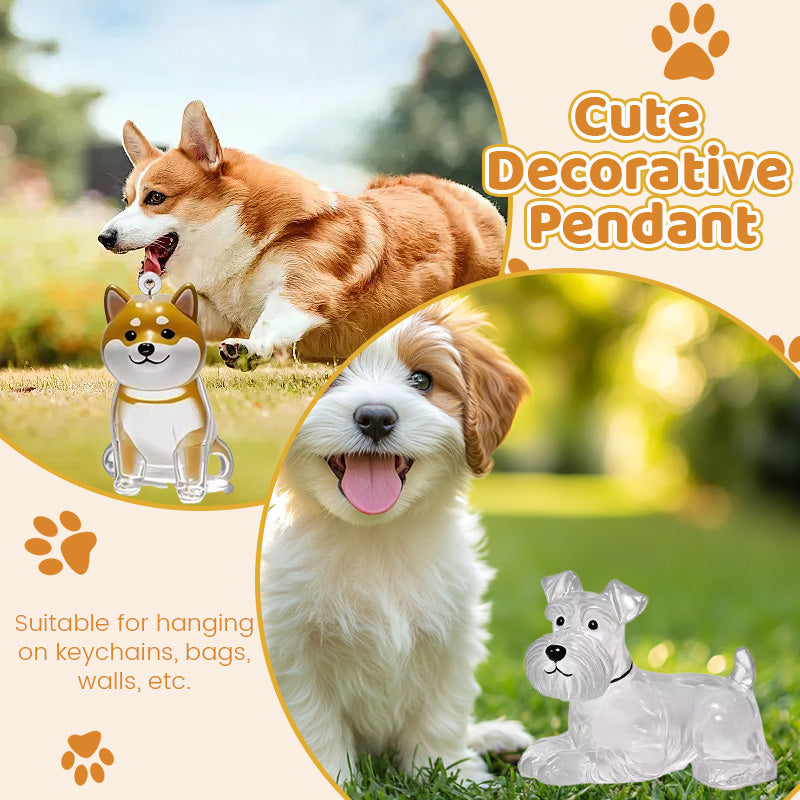 Gjennomsiktig oppbevaringsboks til minne om valpehår