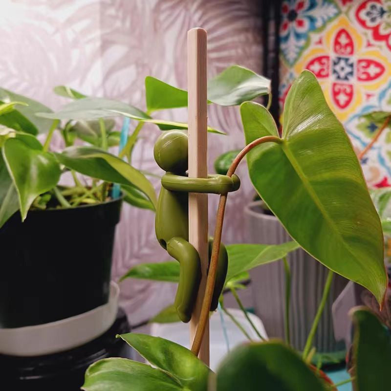 Søt plantestøtte espalier