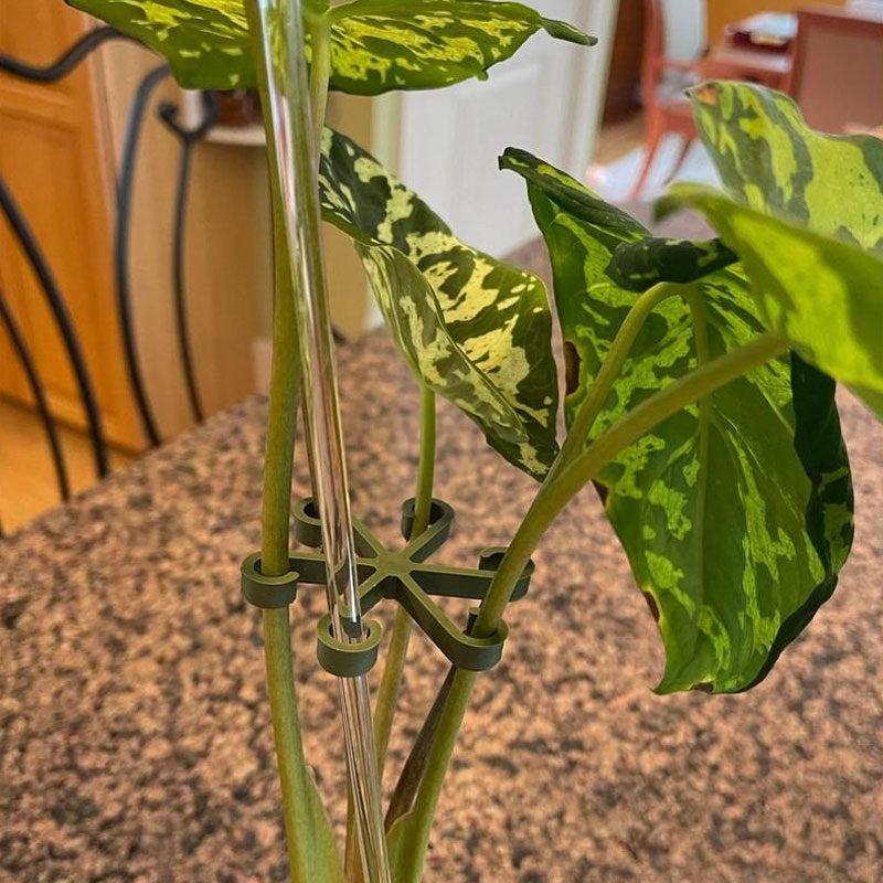 Plantestamme støtte (4 stk)