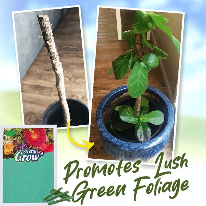 Lazy plantematgjødselpinner