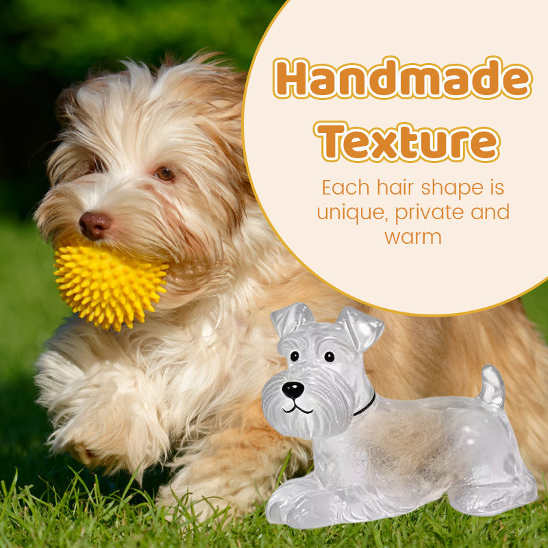 Gjennomsiktig oppbevaringsboks til minne om valpehår