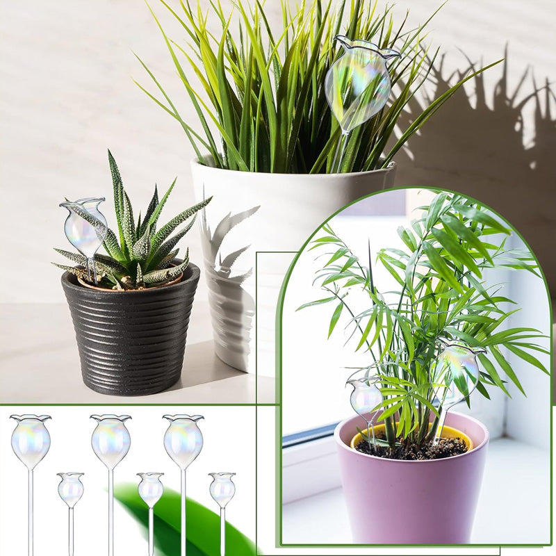 Fargerik soppvanningskanne/fargerikt automatisk vanningssystem laget av glass