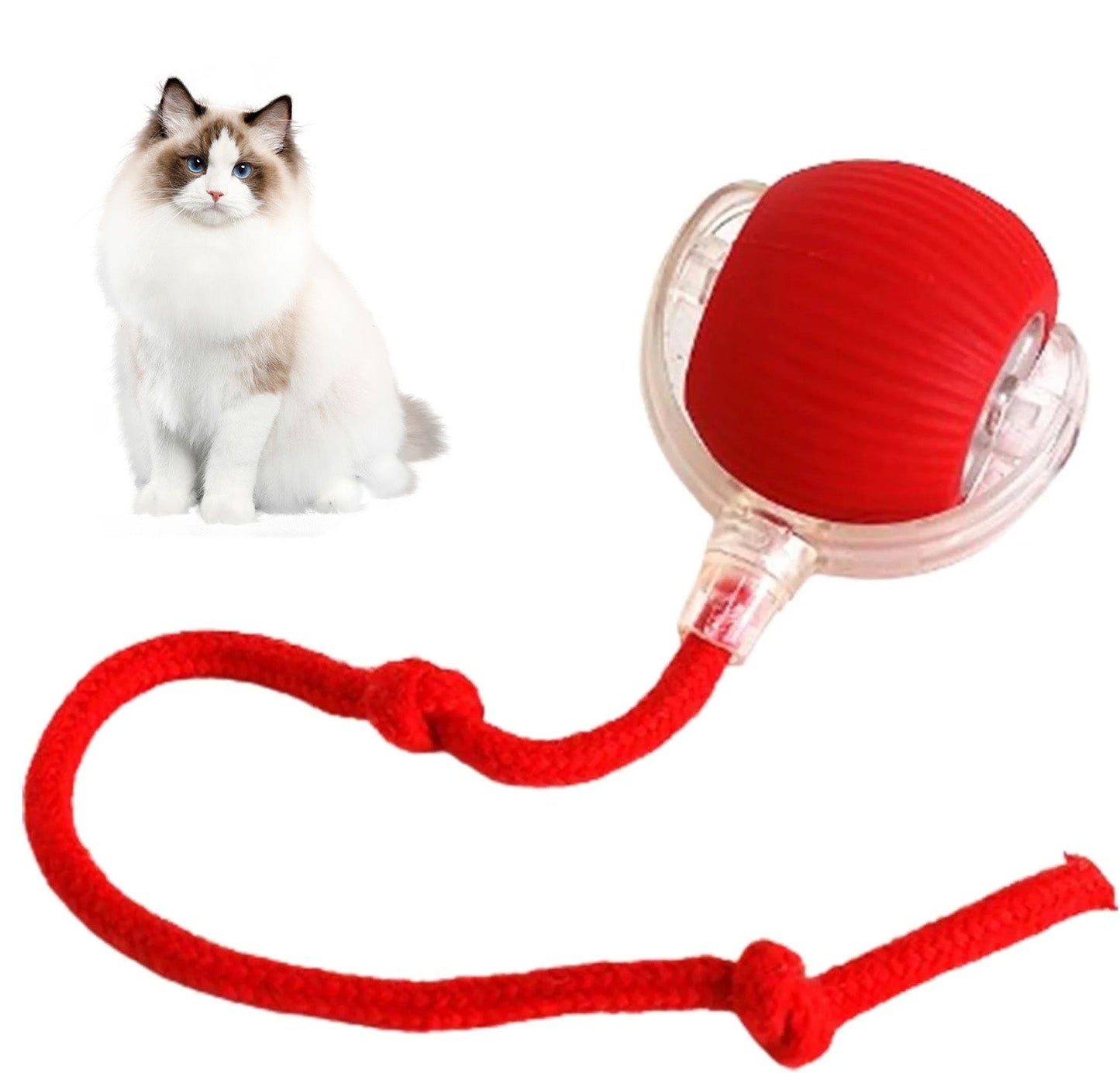 Smart Chasing Pet Toy Ball