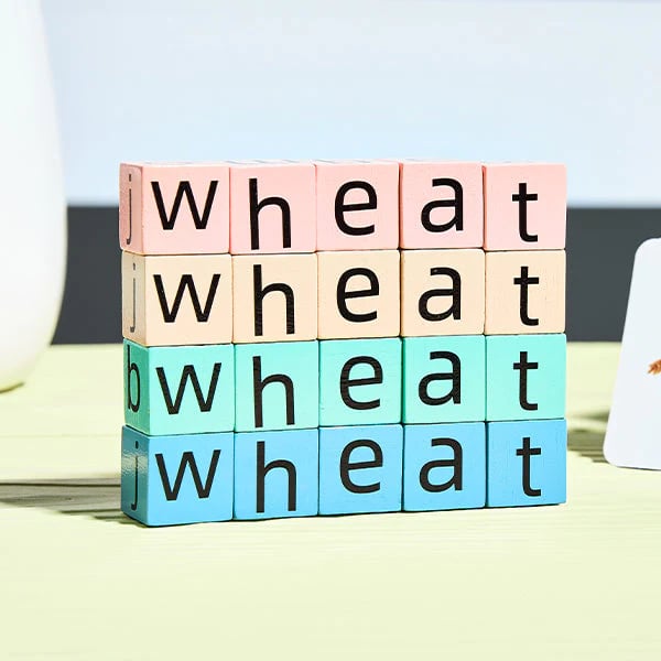 🎁Alfabetet Matching Blocks