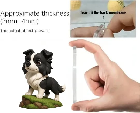 Border Collie-adventskalender 2025