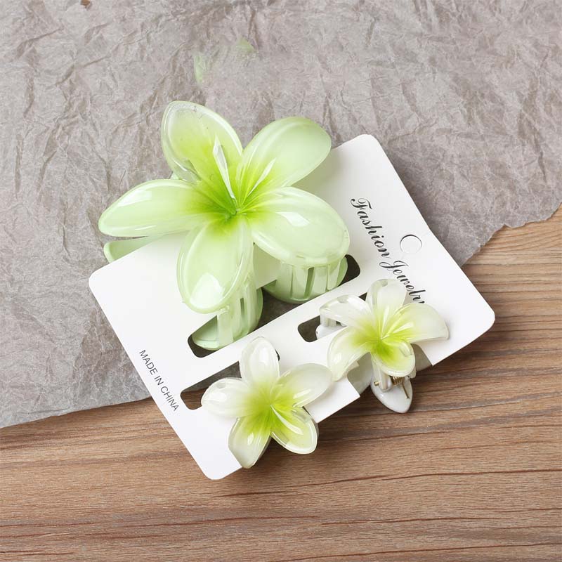 🌸 Elegant blomsterhårspenne - Morandi Bloom Series