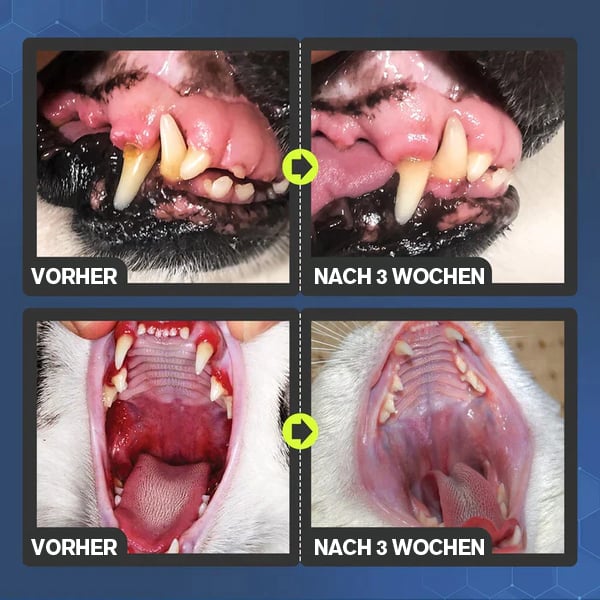 💥Tilby🔥Tannrensespray for hund og katt.