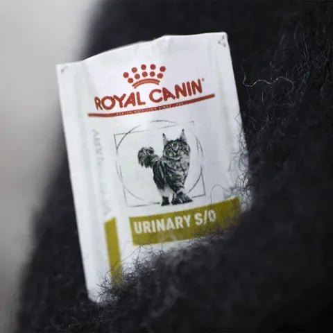 🎄✨Wool Felt Familiars – Sære håndlagde følgesvenner