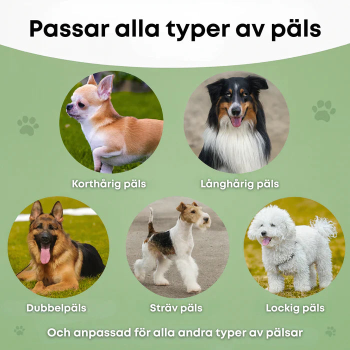 🐶 Hundebørste som stopper røyting og holder hjemmet rent 🦴