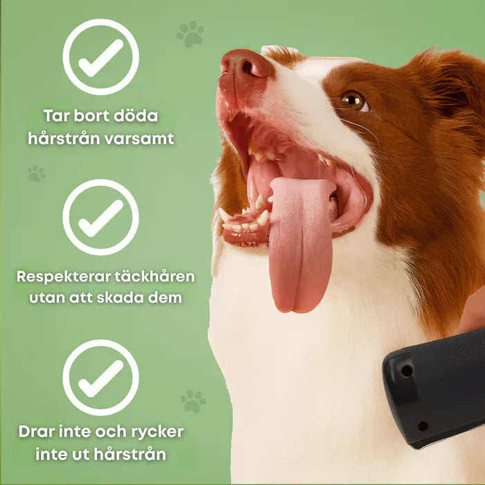 🐶 Hundebørste som stopper røyting og holder hjemmet rent 🦴