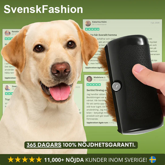 🐶 Hundebørste som stopper røyting og holder hjemmet rent 🦴