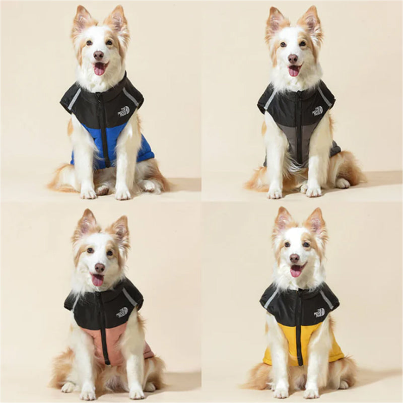 🐶Vanntett vindtett vinterfrakk til hund