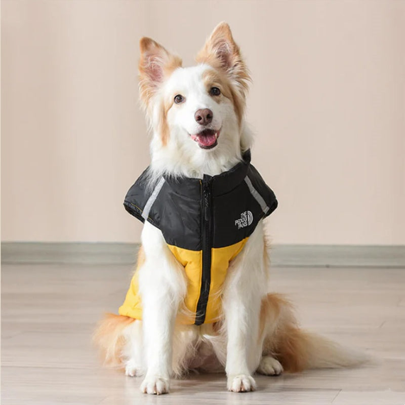 🐶Vanntett vindtett vinterfrakk til hund